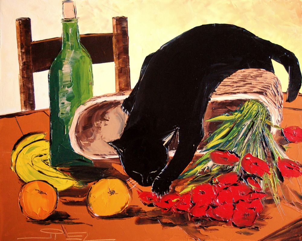 Return from market with black cat