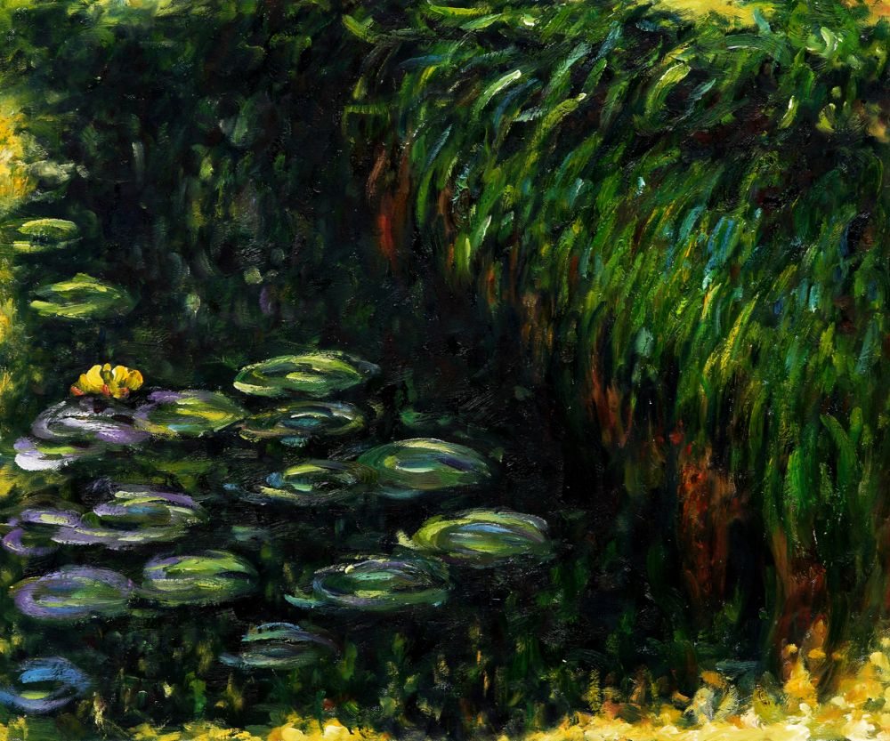 Water Lilies