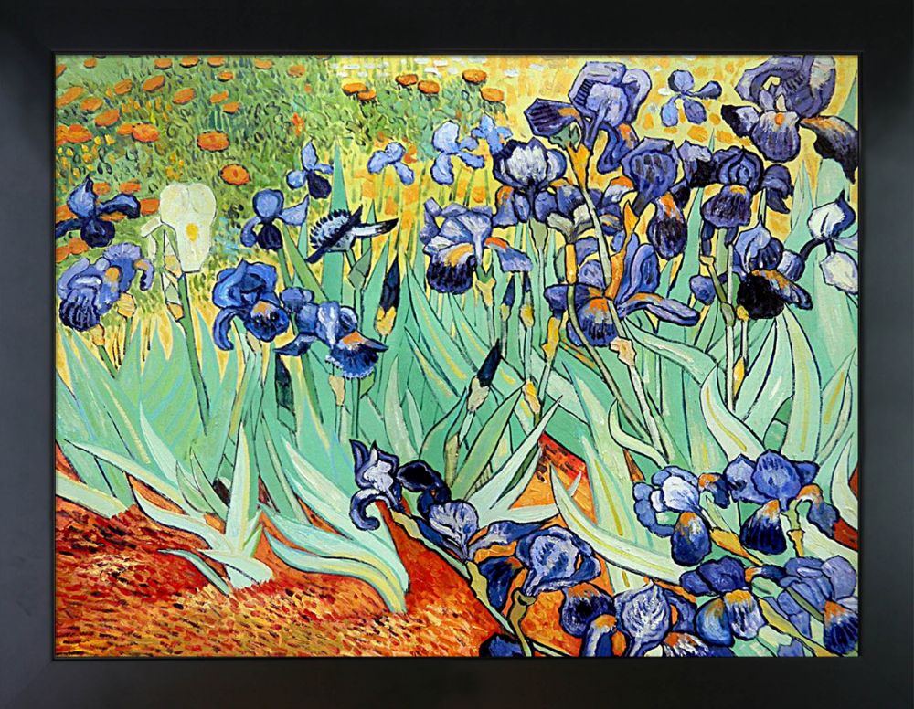 Irises Pre-Framed - New Age Black Frame 30"X40"
