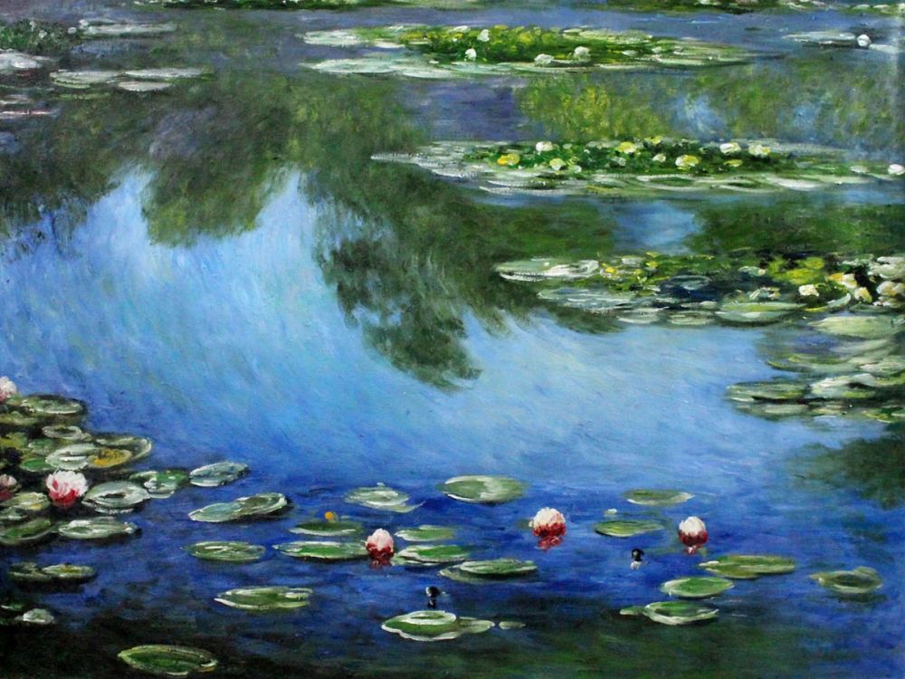 Water Lilies