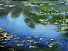 Water Lilies