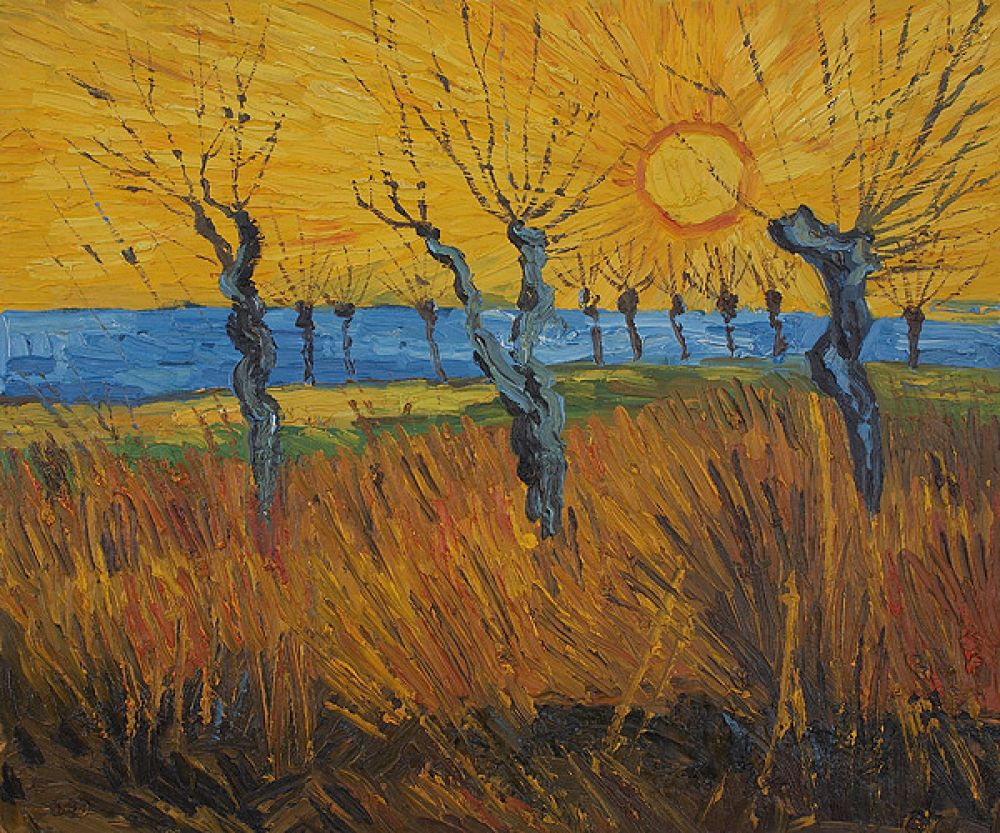 Willows at Sunset