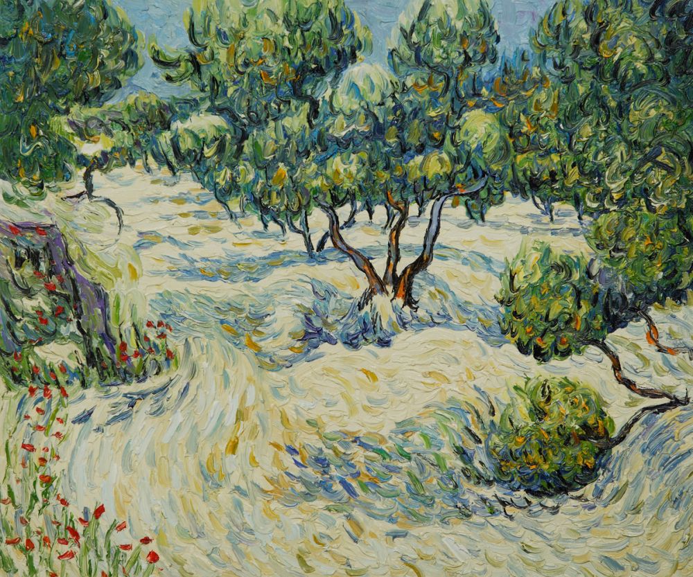 Olive Orchard
