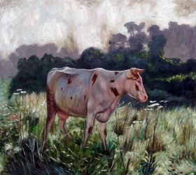 Cow (Study)