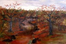 Autumn Forest