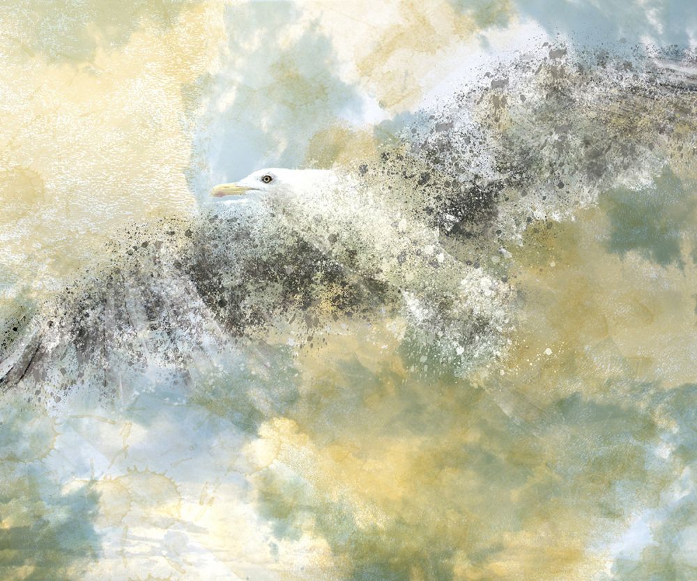 Digital Art, Vanishing Seagull
