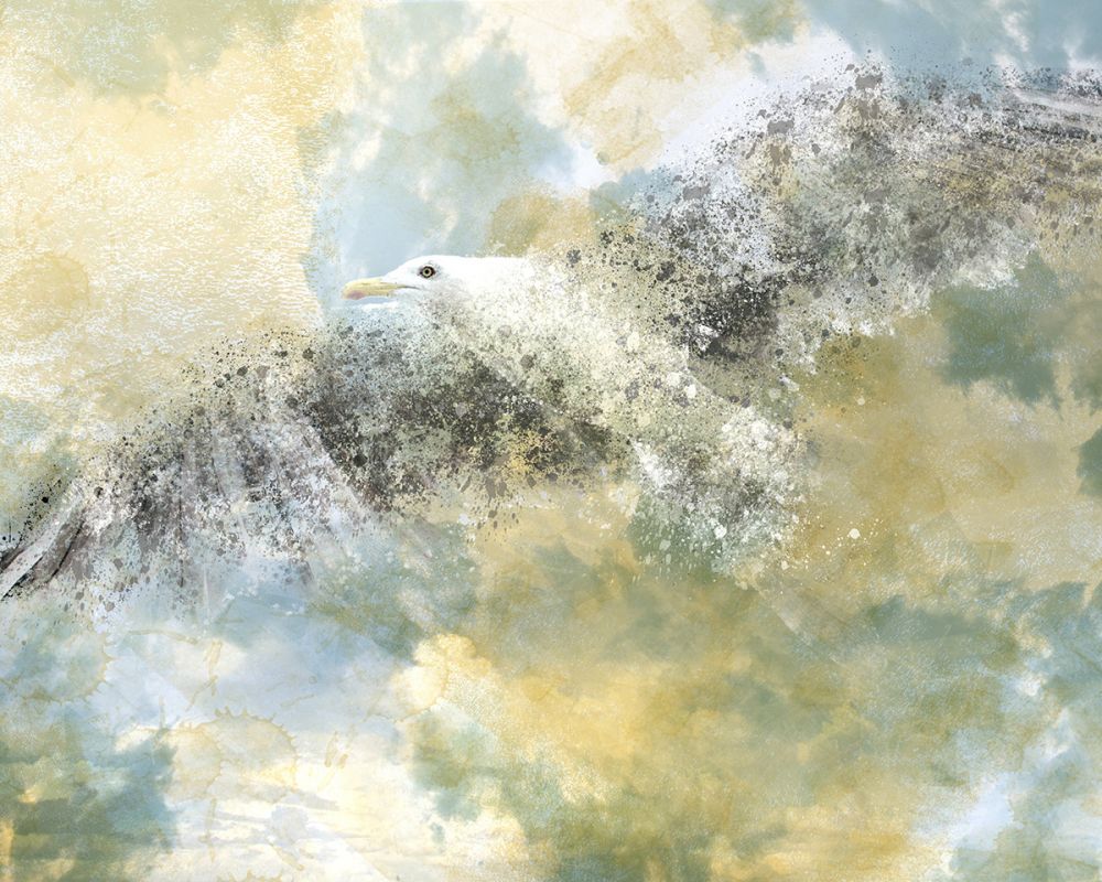 Digital Art, Vanishing Seagull