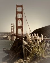 San Francisco Golden Gate Bridge