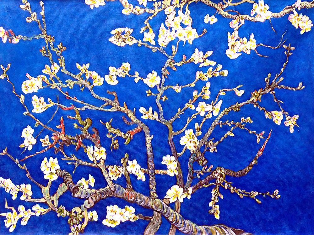 Branches of an Almond Tree in Blossom, Sapphire Blue