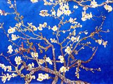 Branches of an Almond Tree in Blossom, Sapphire Blue