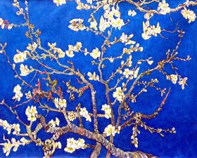 Branches of an Almond Tree in Blossom, Sapphire Blue