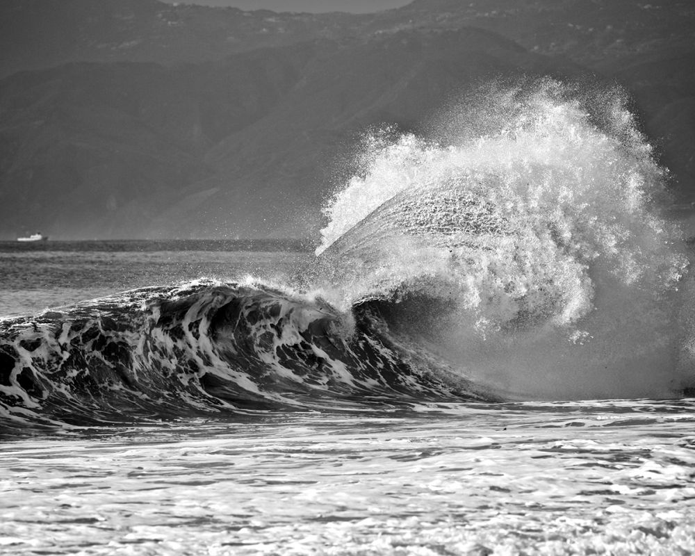 Backwash
