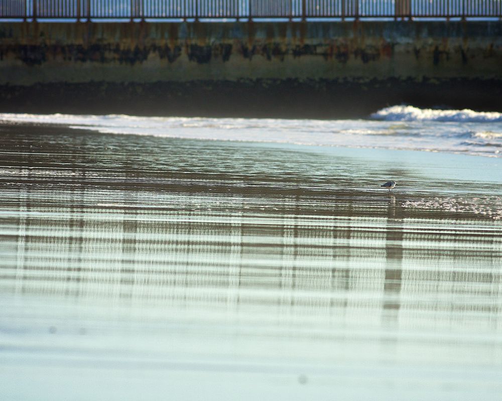 Smoke and Mirrors and a fence