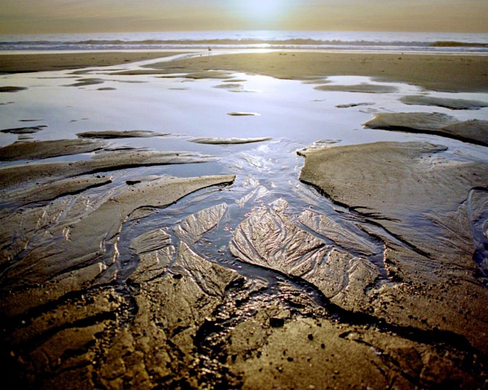 As The Heat of Summer Drains Away