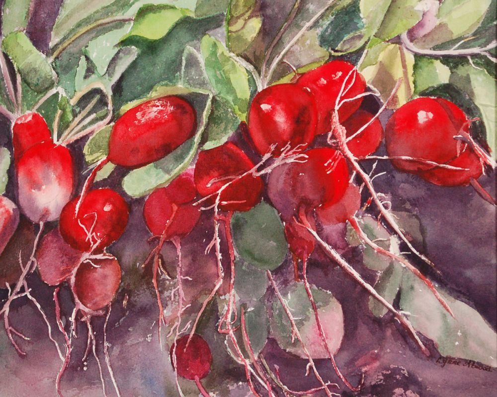 Radishes