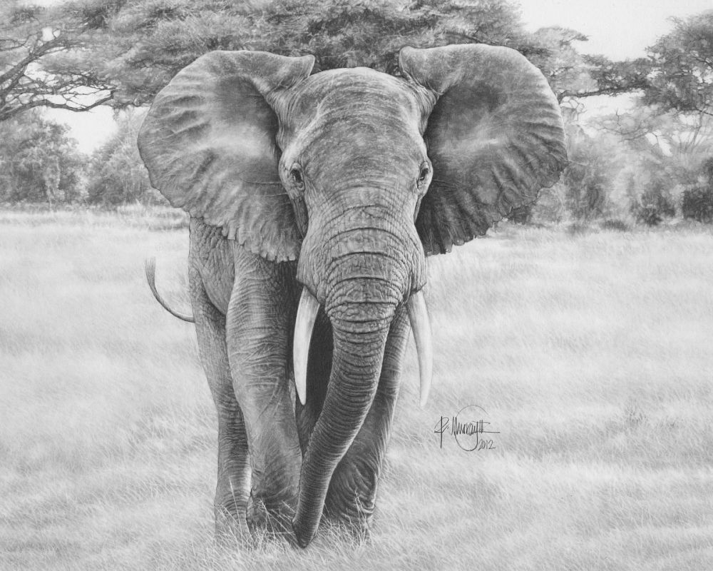 Declaration of Soveriegnty