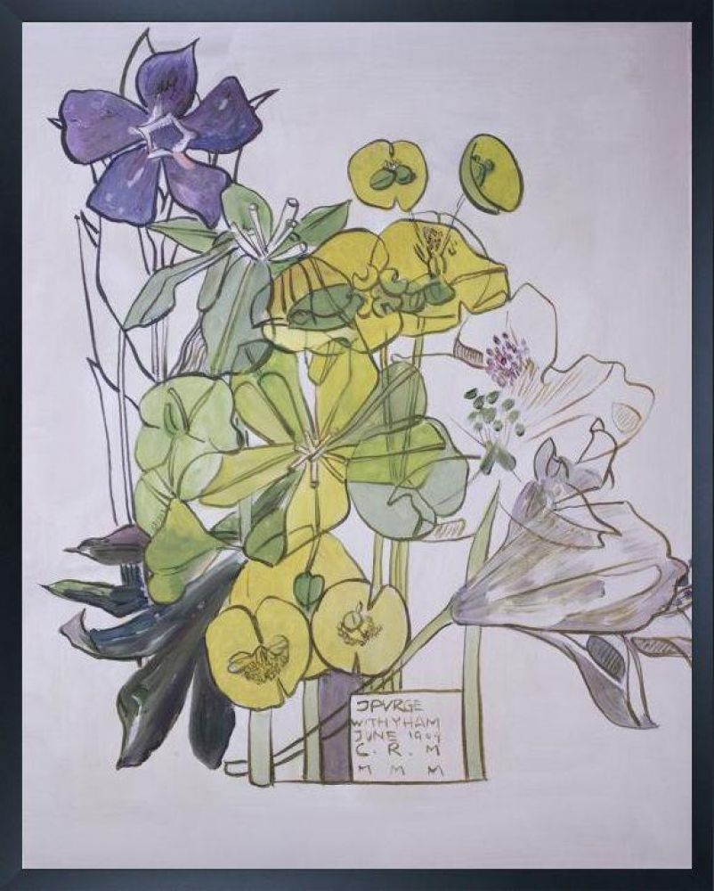 Spurge, Withyham Pre-framed - Studio Black Wood Frame 16"X20"