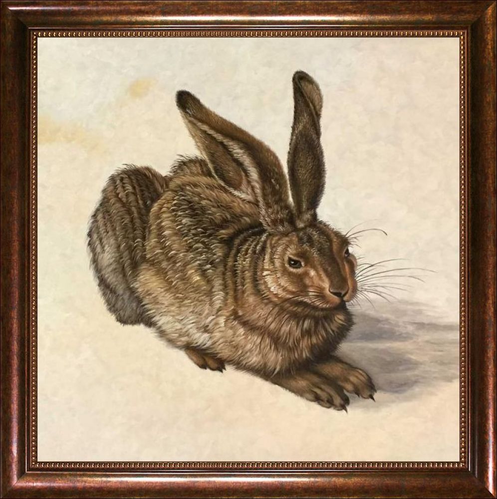 Young Hare Pre-Framed - Verona Cafe Frame 24"X24"