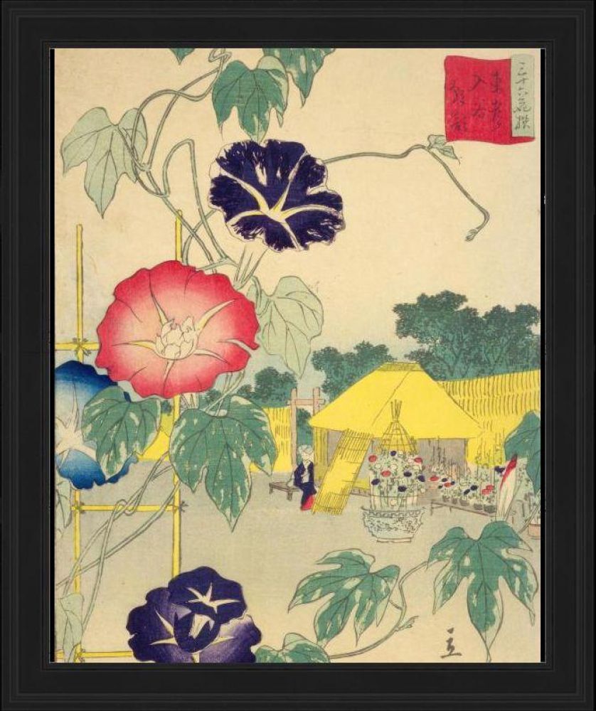 Morning Glory Pre-framed - Black Gallery