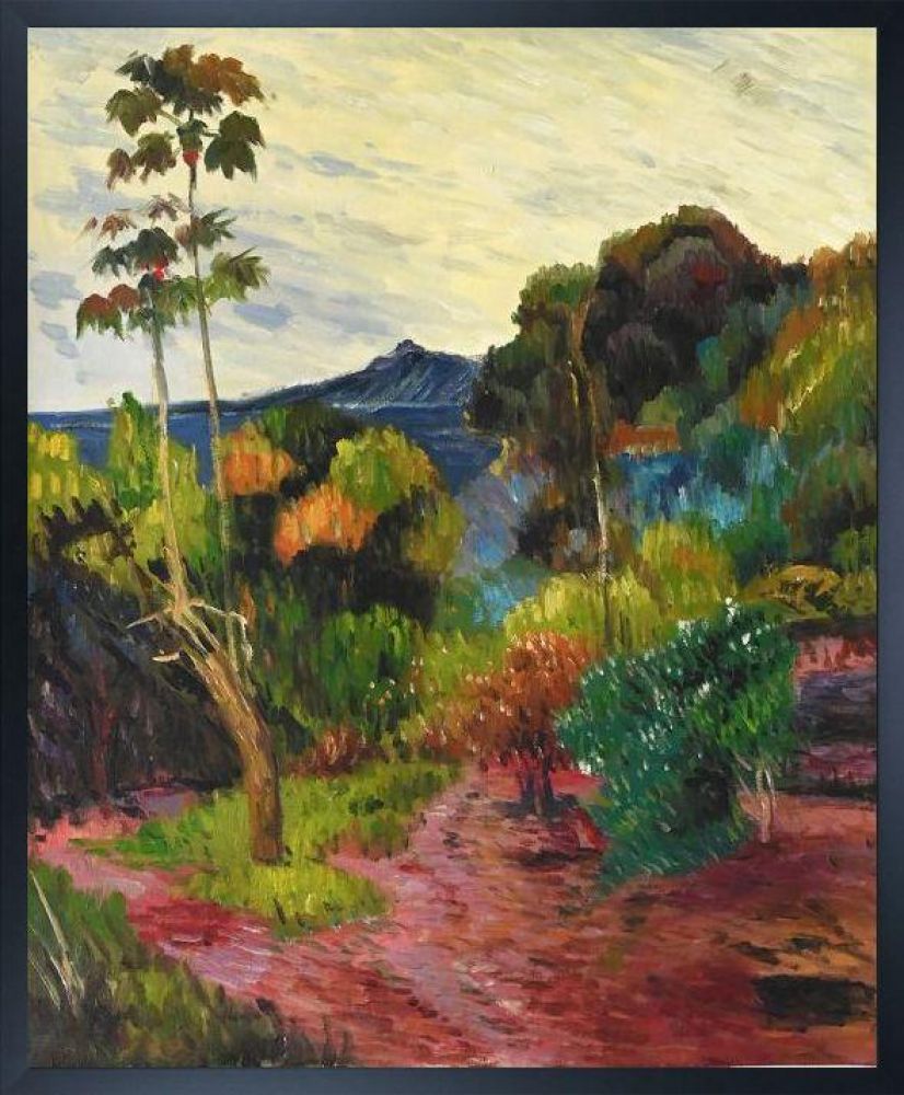 Martinique Landscape, 1887 Pre-framed - Studio Black Wood Frame 20"X24"