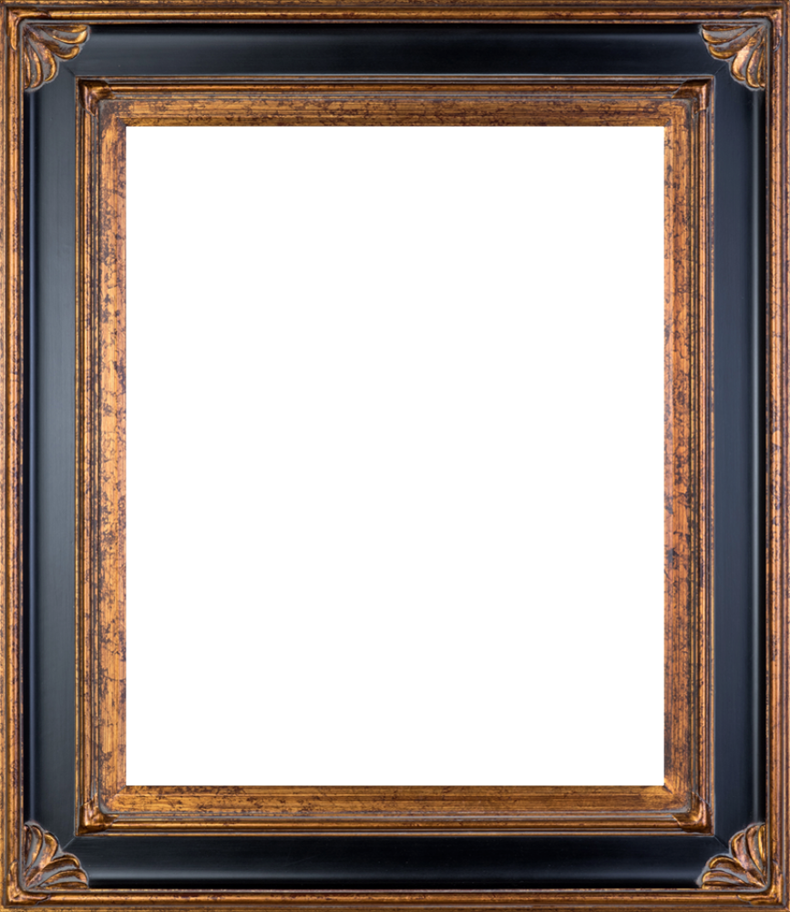 Corinthian Gold Frame 20"X24"