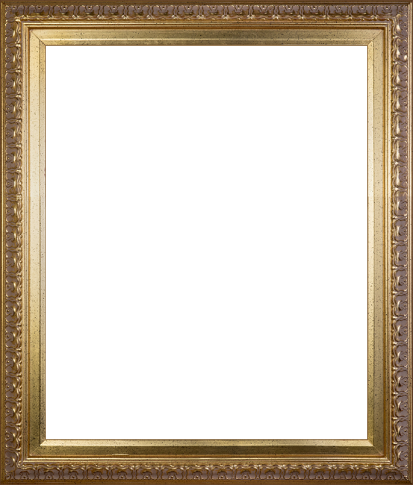 Elegant Gold Frame 20"X24"