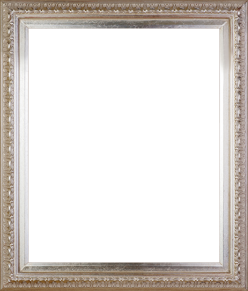 Elegant Champagne Frame 20"X24"