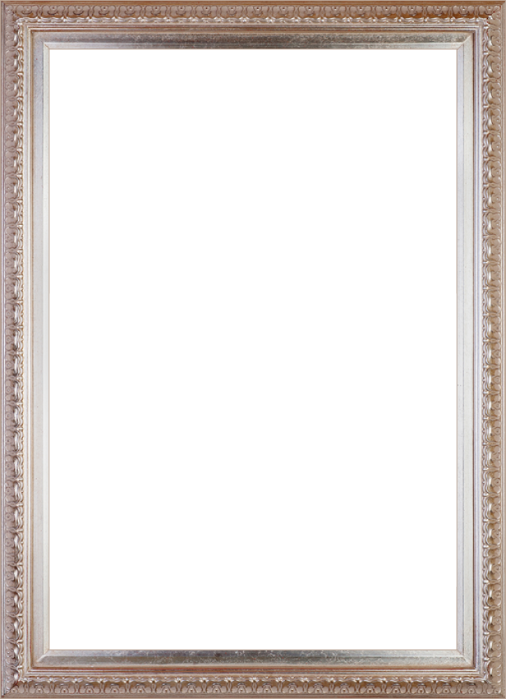 Elegant Champagne Frame 24"X36"
