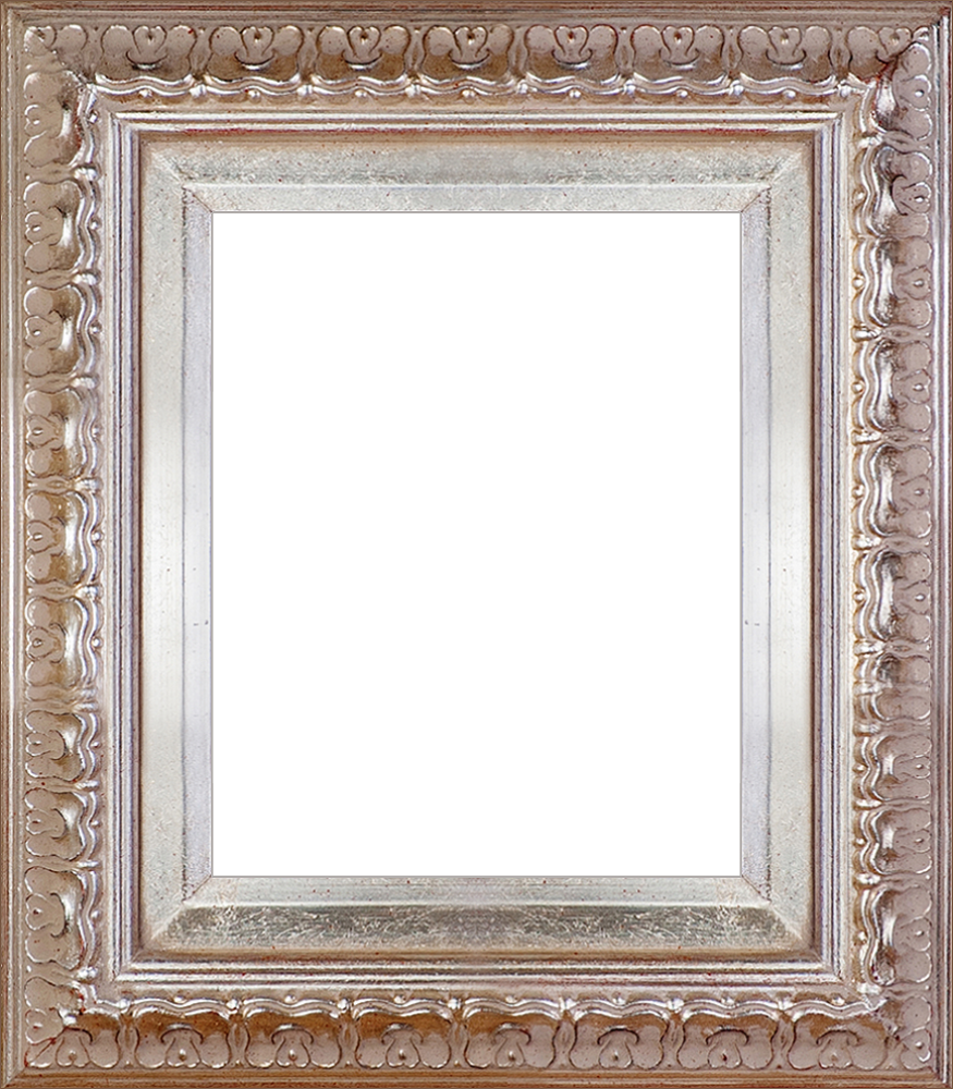 Elegant Champagne Frame 8X10