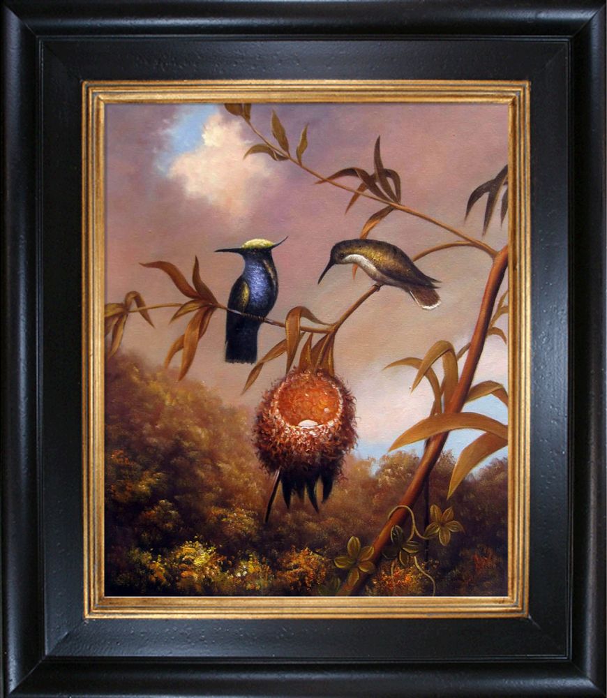 Black-Breasted Plovercrest Pre-Framed - Vintage Creed Frame 20"X24"